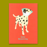Deli Cards Postkarte "Gute Besserung Hund" | Lustige Karte zur Genesung