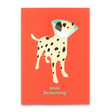 Deli Cards Postkarte "Gute Besserung Hund" | Lustige Karte zur Genesung