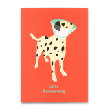 Deli Cards Postkarte "Gute Besserung Hund" | Lustige Karte zur Genesung
