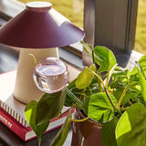 Hübsch Bewässerungskugel „Flora Aqua Globe Rosa/Grün“ | Pflanzenhilfe | Hübsch