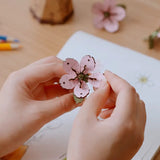 Rolife DIY-Blume „Kirschblüte“ | Feine Holzblume | Rolife