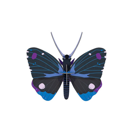 studio ROOF Wanddeko “Blue Diadem Butterfly” | 3D Schmetterling | studio ROOF