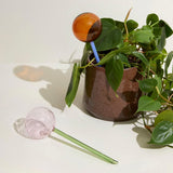 Hübsch Bewässerungskugel „Flora Aqua Globe Rosa/Grün“ | Pflanzenhilfe | Hübsch