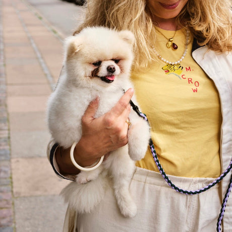 HAY Hundeleine „Geflochten Lavender & Green (M/L)“ | Farbiger Akzent | HAY Dogs