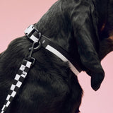 HAY Hundeleine „Flat Black & White Check (M/L)“ | Besonderer Look | HAY Dogs