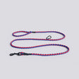HAY Hundeleine „Geflochten Blue & Red (M/L)“ | Knalliges Statement | HAY Dogs