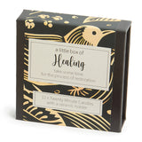 Cotton & Grey Kerzen “Twenty Minute Candles Healing” | 12 Ritualkerzen mit Halter | Cotton & Grey