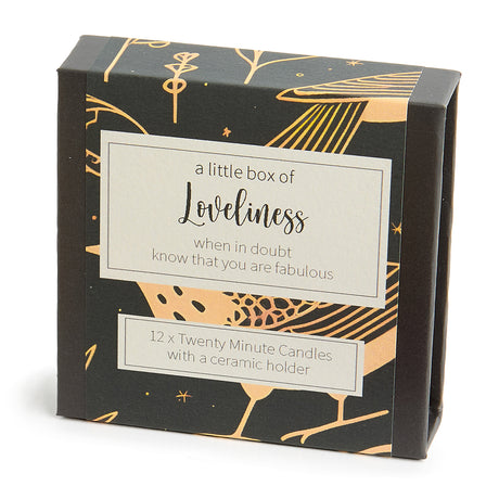 Cotton & Grey Kerzen “Twenty Minute Candles Loveliness” | 12 Ritualkerzen mit Halter | Cotton & Grey
