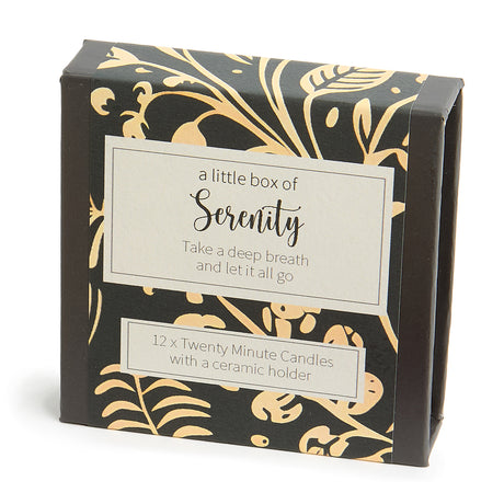 Cotton & Grey Kerzen “Twenty Minute Candles Serenity” | 12 Ritualkerzen mit Halter | Cotton & Grey