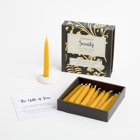 Cotton & Grey Kerzen “Twenty Minute Candles Serenity” | 12 Ritualkerzen mit Halter | Cotton & Grey
