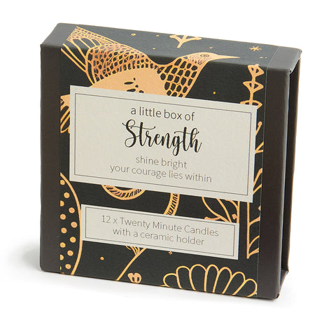 Cotton & Grey Kerzen “Twenty Minute Candles Strength” | 12 Ritualkerzen mit Halter | Cotton & Grey