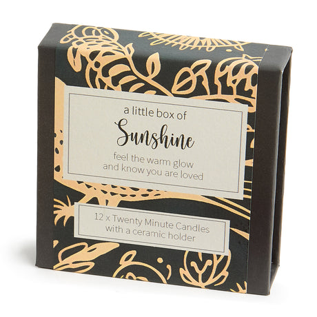 Cotton & Grey Kerzen “Twenty Minute Candles Sunshine” | 12 Ritualkerzen mit Halter | Cotton & Grey
