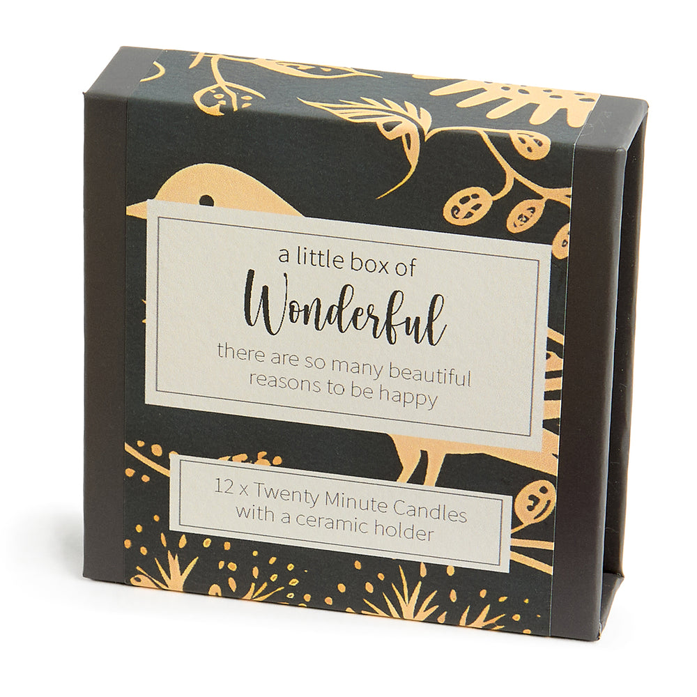 Cotton & Grey Kerzen “Twenty Minute Candles Wonderful” | 12 Ritualkerzen mit Halter | Cotton & Grey