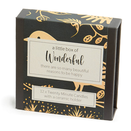 Cotton & Grey Kerzen “Twenty Minute Candles Wonderful” | 12 Ritualkerzen mit Halter | Cotton & Grey