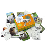 Seltmann Publishers Memo-Spiel „Things I Have Drawn“ | Lustiges Memo-Spiel | Seltmann Publisher