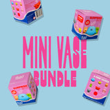 Mini Vase Surprise Box (4er Set) | Überraschungsvasen zum Sammeln