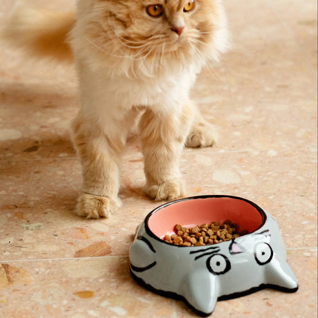 Home Studyo Napf “Jean Jullien Bowl Cat” | Design Futternapf | Home Studyo