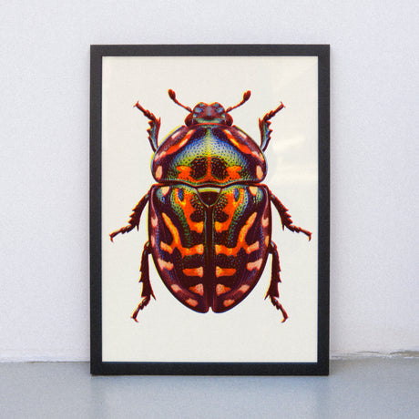Edition SCHEE Neon Bug (DIN A3) | Edition SCHEE | Risographie