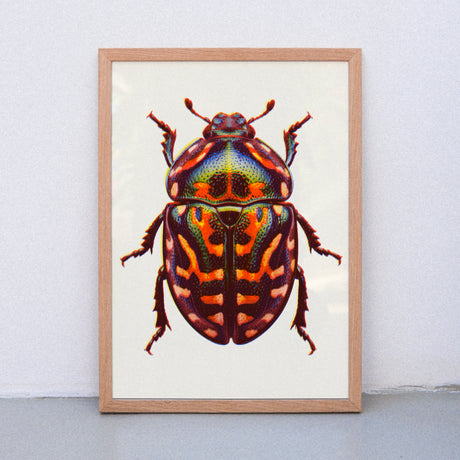 Edition SCHEE Neon Bug (DIN A3) | Edition SCHEE | Risographie