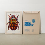 Neon Bug (DIN A3) | Edition SCHEE | Risographie