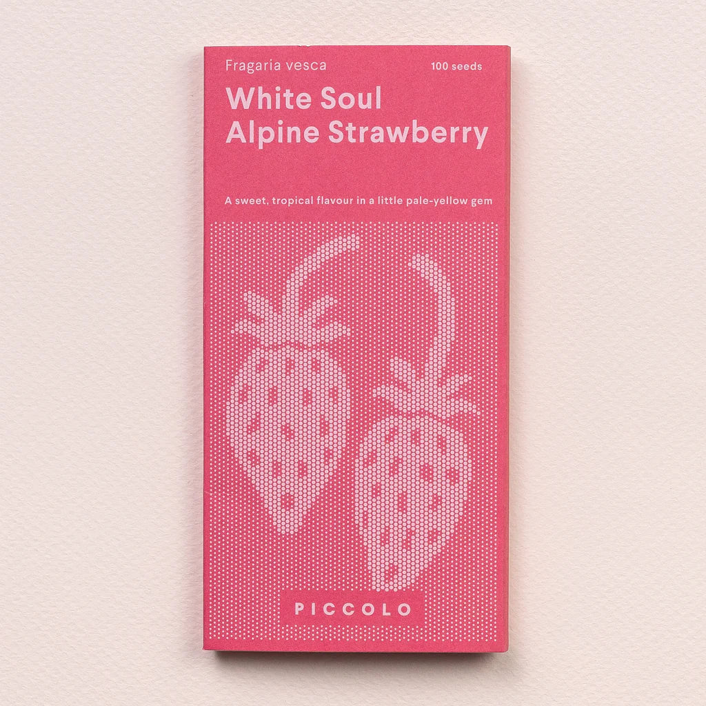 Piccolo Seeds Pflanzensamen "Alpine Strawberry White Soul" | Piccolo Seeds