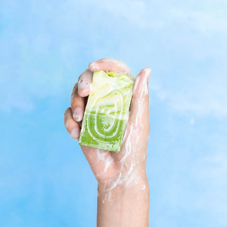 Tarta Gelatina Seife “Aloe Vera” | Handgemachte Naturseife | Tarta Gelatina