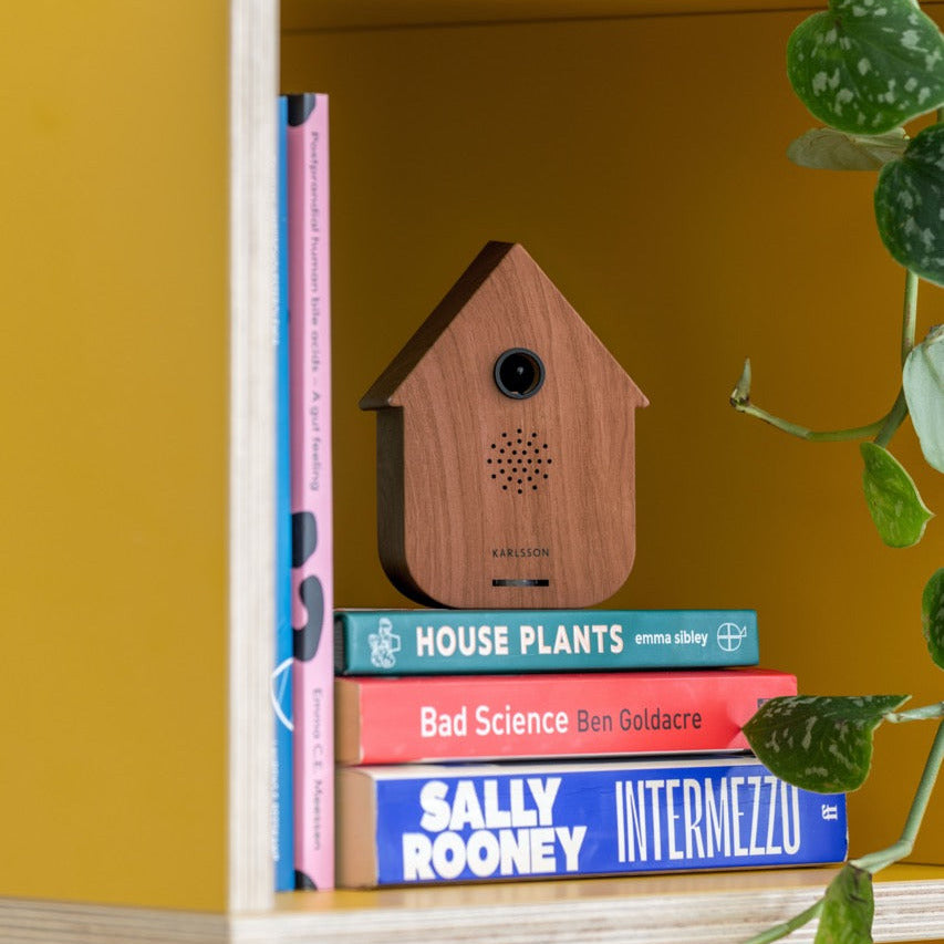 Karlsson Soundbox “Large” Dark Wood | Entspannende Naturklänge | Karlsson