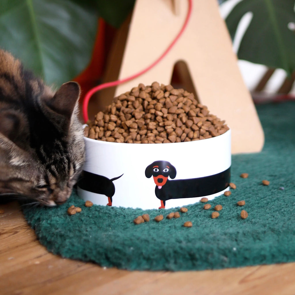 Fluid Market Hundenapf „Dog“ | Fluid Market x Thomas Gravereau | Design trifft Dackel-Liebe