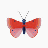 studio ROOF Wanddeko- Speckled Copper Butterfly