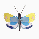 studio ROOF Wanddeko- Yellow Monarch Butterfly
