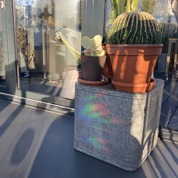 Botanopia Rainbow-Sticker Botanopia „You are loved“ | Sonnige Botschaft fürs Herz