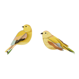 studio ROOF Wanddeko studio ROOF “Citrinella Pair” | Gelbes Vogelduo aus Karton