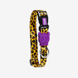 Zee.Dog Halsband “Honey” S | Strapazierfähiges Halsband | Zee.Dog