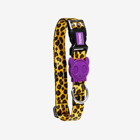 Zee.Dog Halsband “Honey” S | Strapazierfähiges Halsband | Zee.Dog