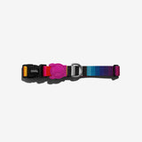 Zee.Dog Halsband “Prisma” S | Strapazierfähiges Halsband | Zee.Dog