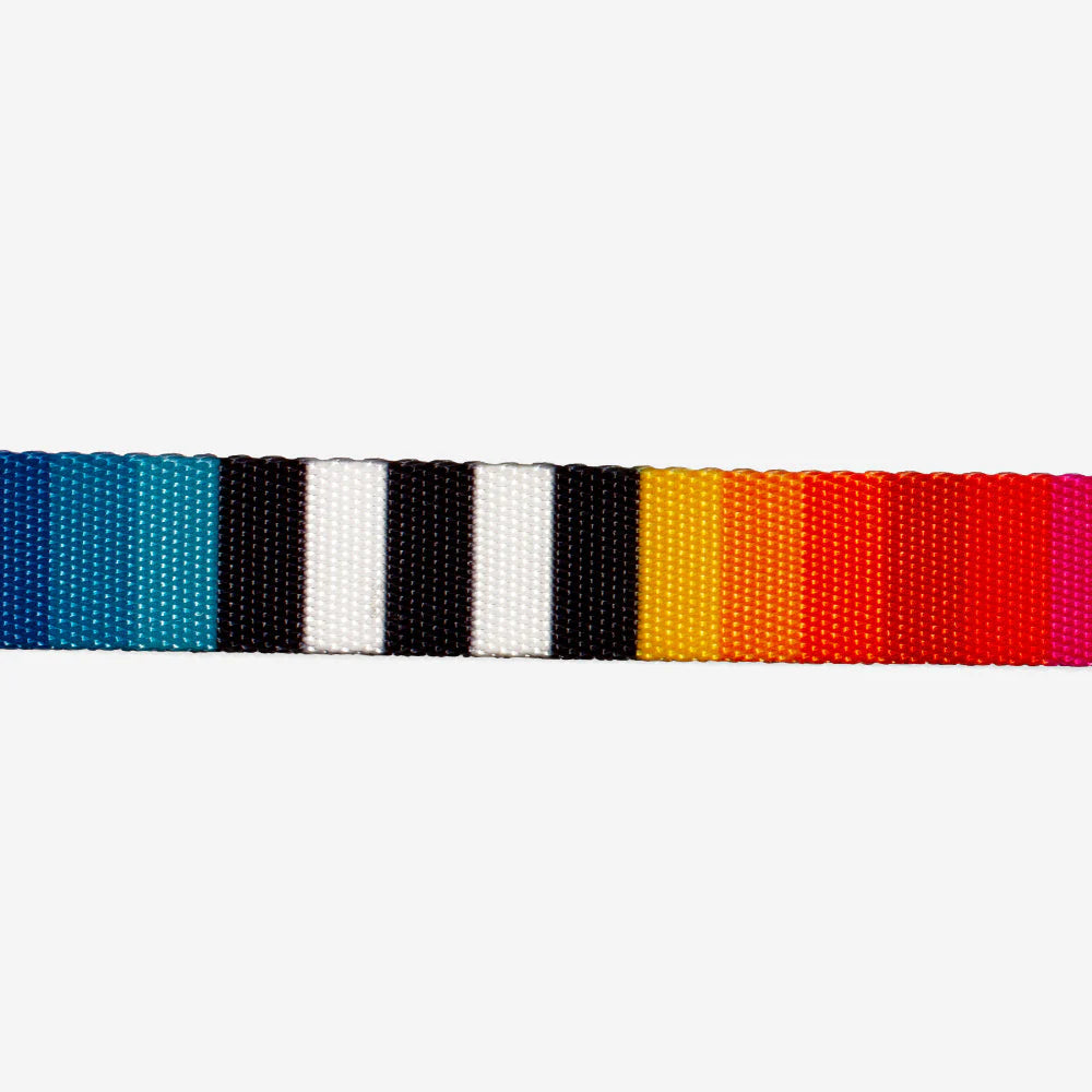 Zee.Dog Halsband “Prisma” S | Strapazierfähiges Halsband | Zee.Dog