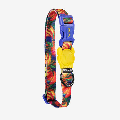 Zee.Dog Halsband “Samba” S | Strapazierfähiges Halsband | Zee.Dog