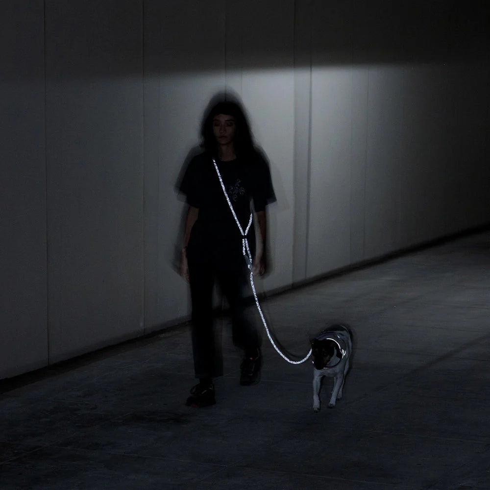 Zee.Dog Hundeleine “Nox Handsfree” | Freihändige Leine | Zee.Dog