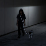 Zee.Dog Hundeleine “Nox Handsfree” | Freihändige Leine | Zee.Dog