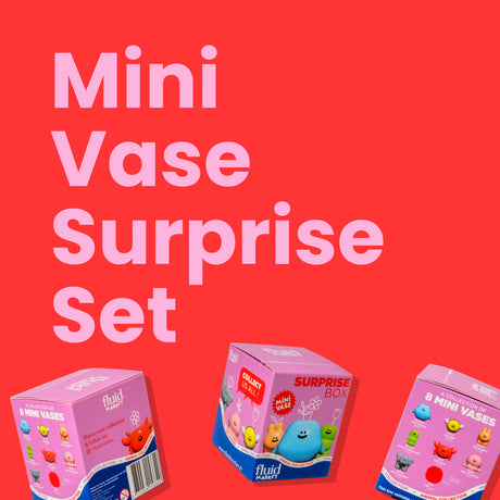 Fluid Market Mini Vase Surprise Box (4er Set) | Überraschungsvasen zum Sammeln