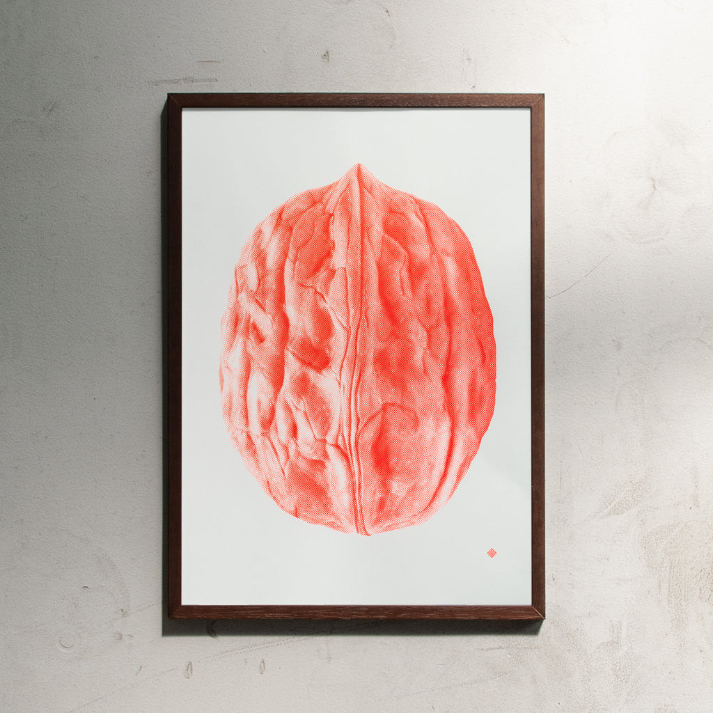 Edition SCHEE Nut No. 1 (Din A2) | Fine Art Print von Edition SCHEE wenge