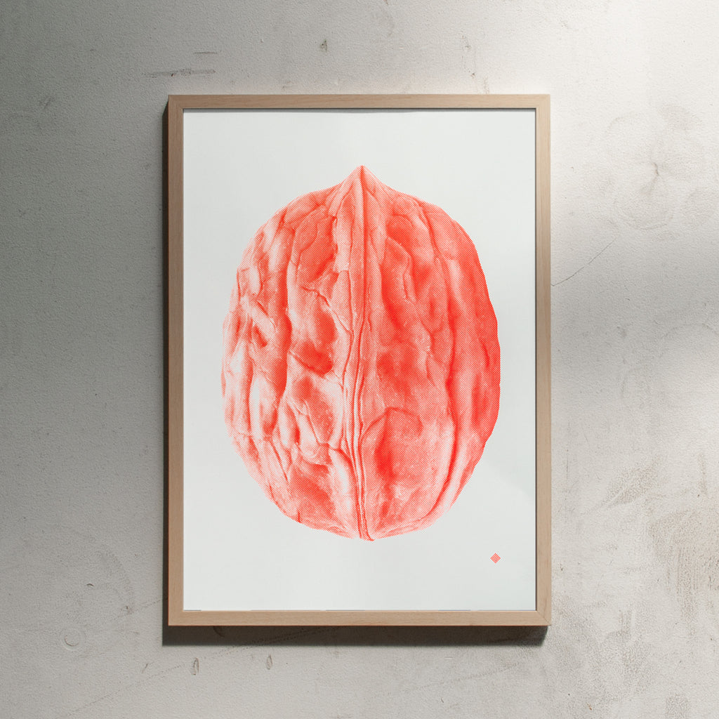 Edition SCHEE Nut No. 1 (Din A2) | Fine Art Print von Edition SCHEE natur