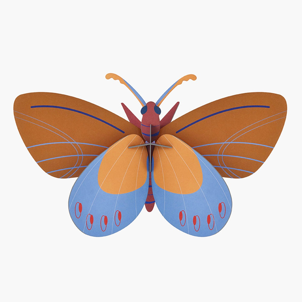 studio ROOF Wanddeko Ochre costa butterfly | DIY 3D Objekt von Studio Roof