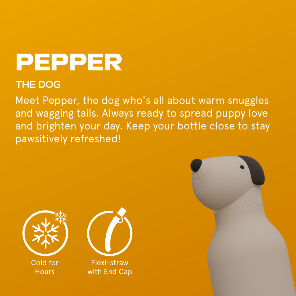 asobu Trinkflasche "Dog” (460ml) | Edelstahlflasche mit Hundemotiv | asobu