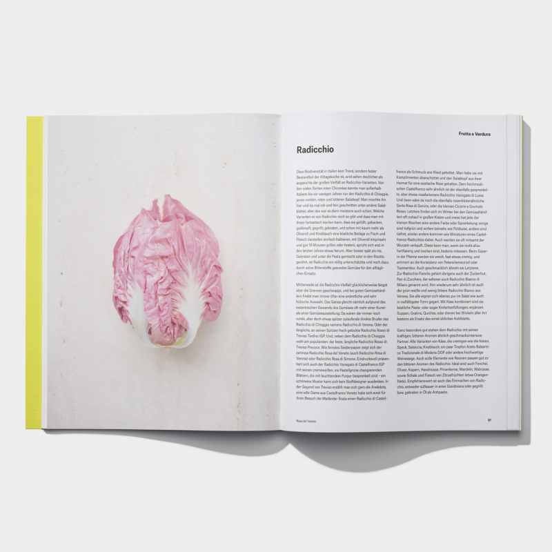 Dumont Kochbuch "Splendido" | DUMONT Verlag | Italienische Produktkunde und Rezepte