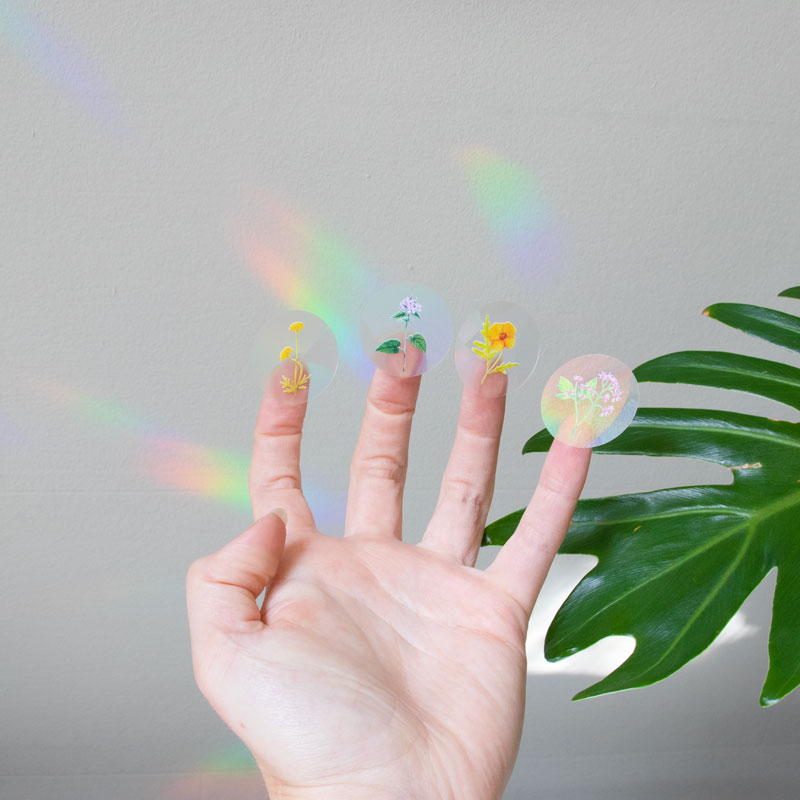 Botanopia Rainbow-Sticker Botanopia „Stay Wild“ (8 Stück) | Für kleine Sonnenmomente