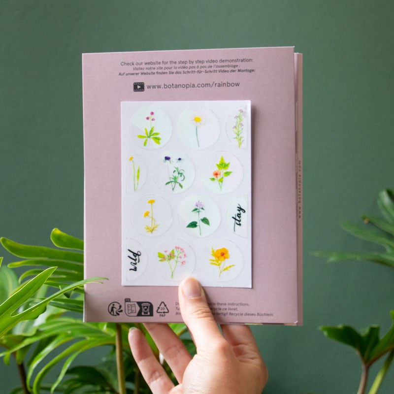 Botanopia Rainbow-Sticker Botanopia „Stay Wild“ (8 Stück) | Für kleine Sonnenmomente