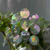 Botanopia Rainbow-Sticker Botanopia „Stay Wild“ (8 Stück) | Für kleine Sonnenmomente