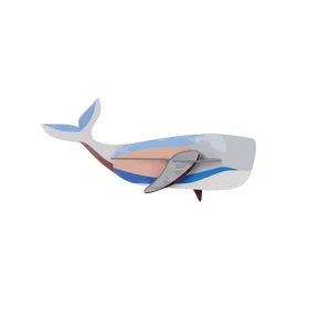 studio ROOF Wanddeko studio ROOF “Whale” | Stilvolle Waldeko aus Karton