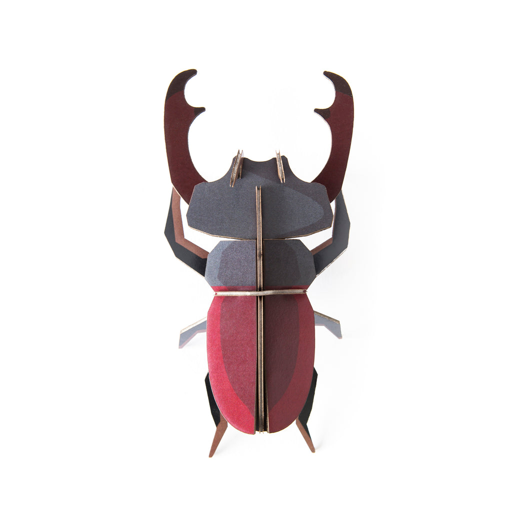 studio ROOF Wanddeko- Stag Beetle